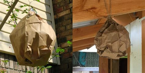 fake hornets nest plastic bag|are hornets real.